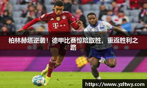 博鱼官方网站