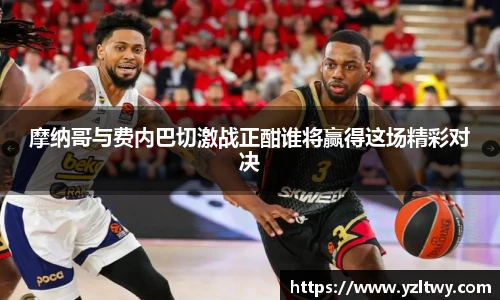 博鱼体育